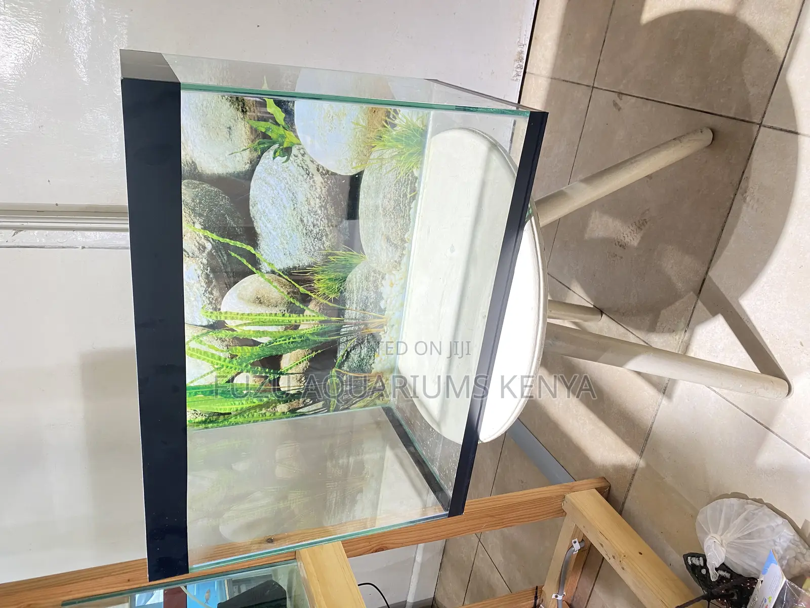 Relax and Unwind With a Ready-to-Go Aquarium