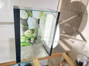 Relax and Unwind With a Ready-to-Go Aquarium