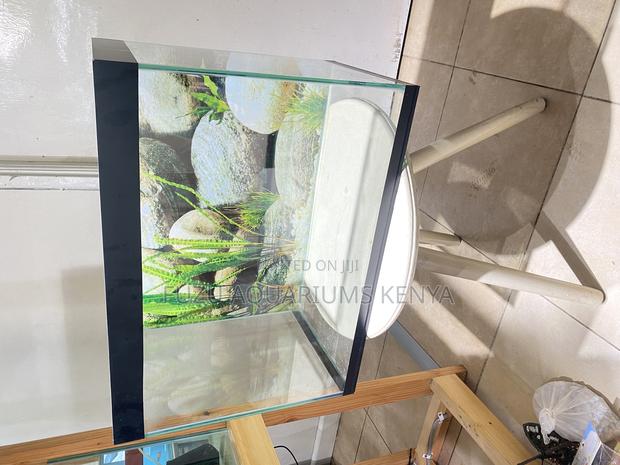 Relax and Unwind With a Ready-to-Go Aquarium