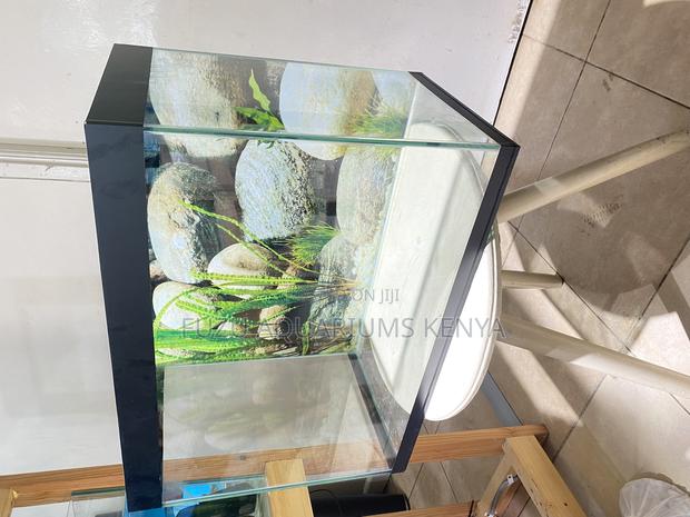 Easy Maintenance, Big Impact – 2ft Aquarium Kit - main view