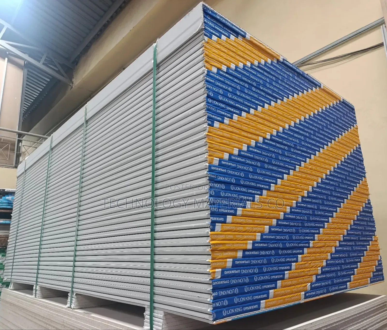 Lion King 12mm Gypsum Panels(8ft by 4ft)