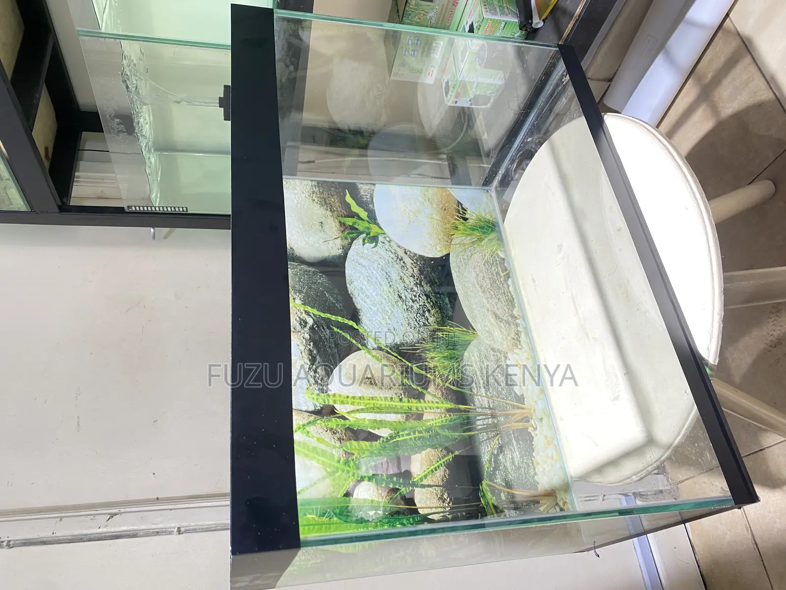 Bring Your Space to Life With a 2ft Aquarium