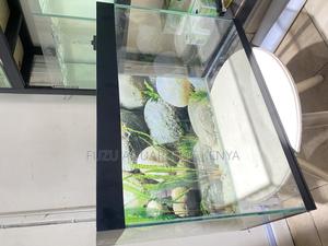 Bring Your Space to Life With a 2ft Aquarium - thumbnail 2