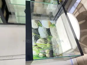 Bring Your Space to Life With a 2ft Aquarium