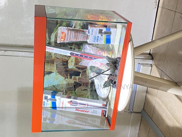 The Ultimate 2ft Aquarium Experience - main view