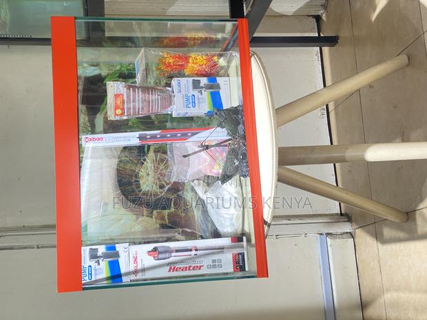 Home Décor Meets Nature – 60l Aquarium - main view