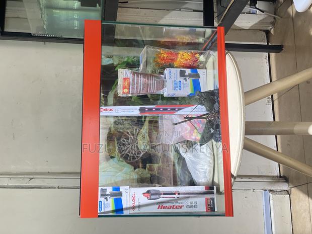 Ready-to-Use 2ft Aquarium Kit - main view