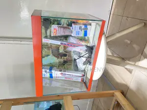 All-in-One Aquarium Package – Just Add Water!