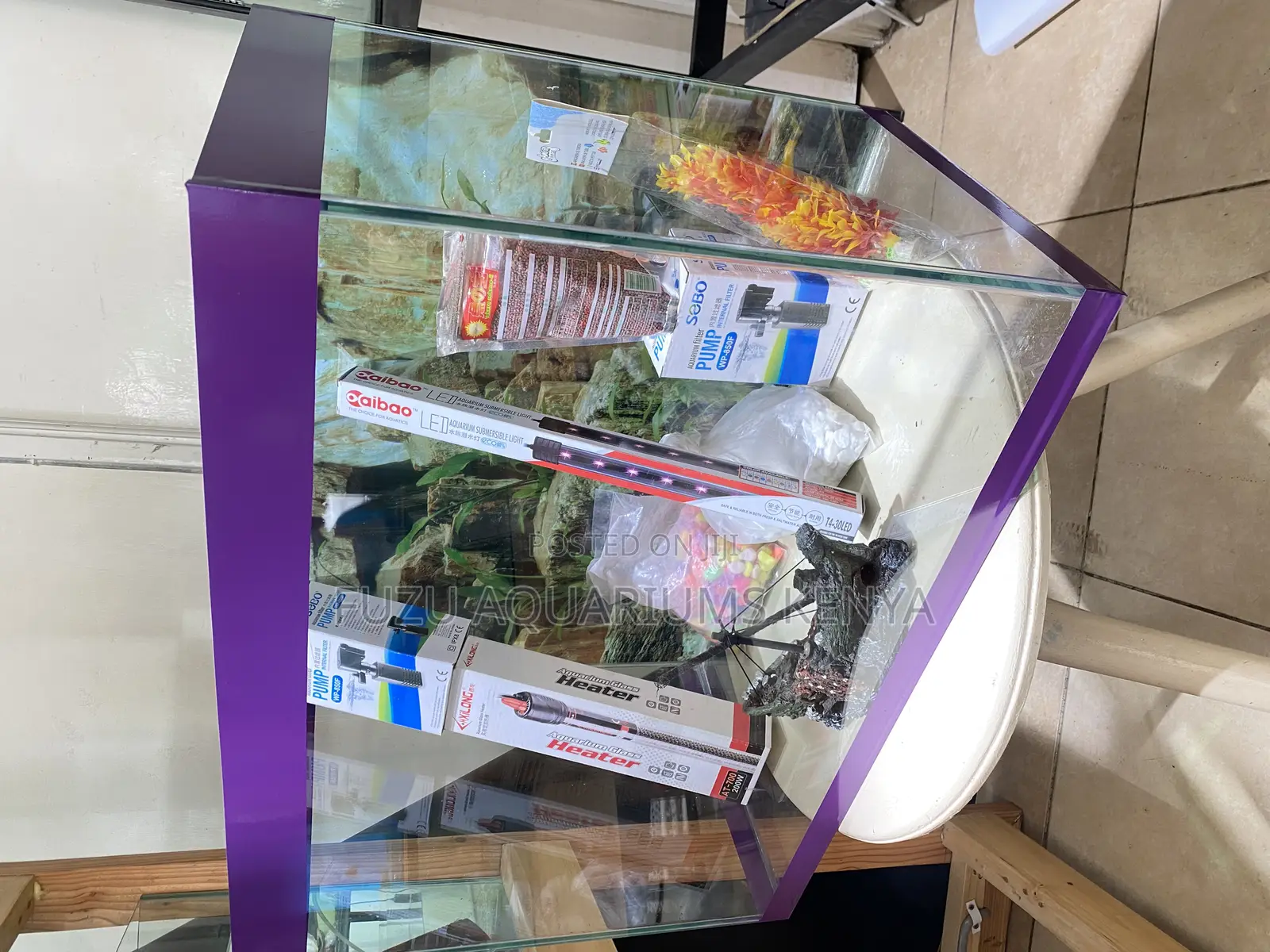 Fish Paradise in a Compact 2ft Purple Themed Aquarium