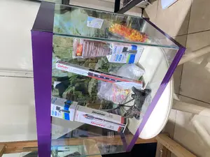 Fish Paradise in a Compact 2ft Purple Themed Aquarium