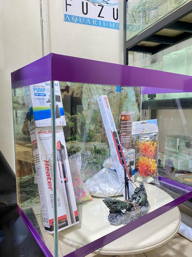 Create a Calm Corner With a Stylish Aquarium - main view