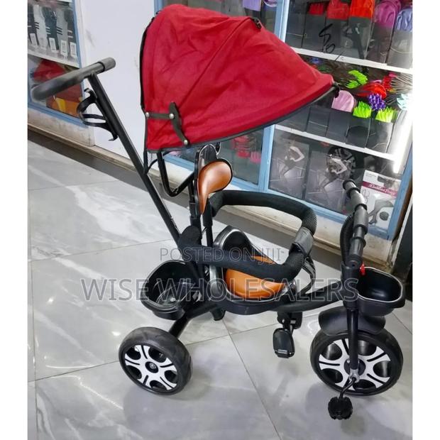 Push Tricycle With Detachable Handle/Canopy