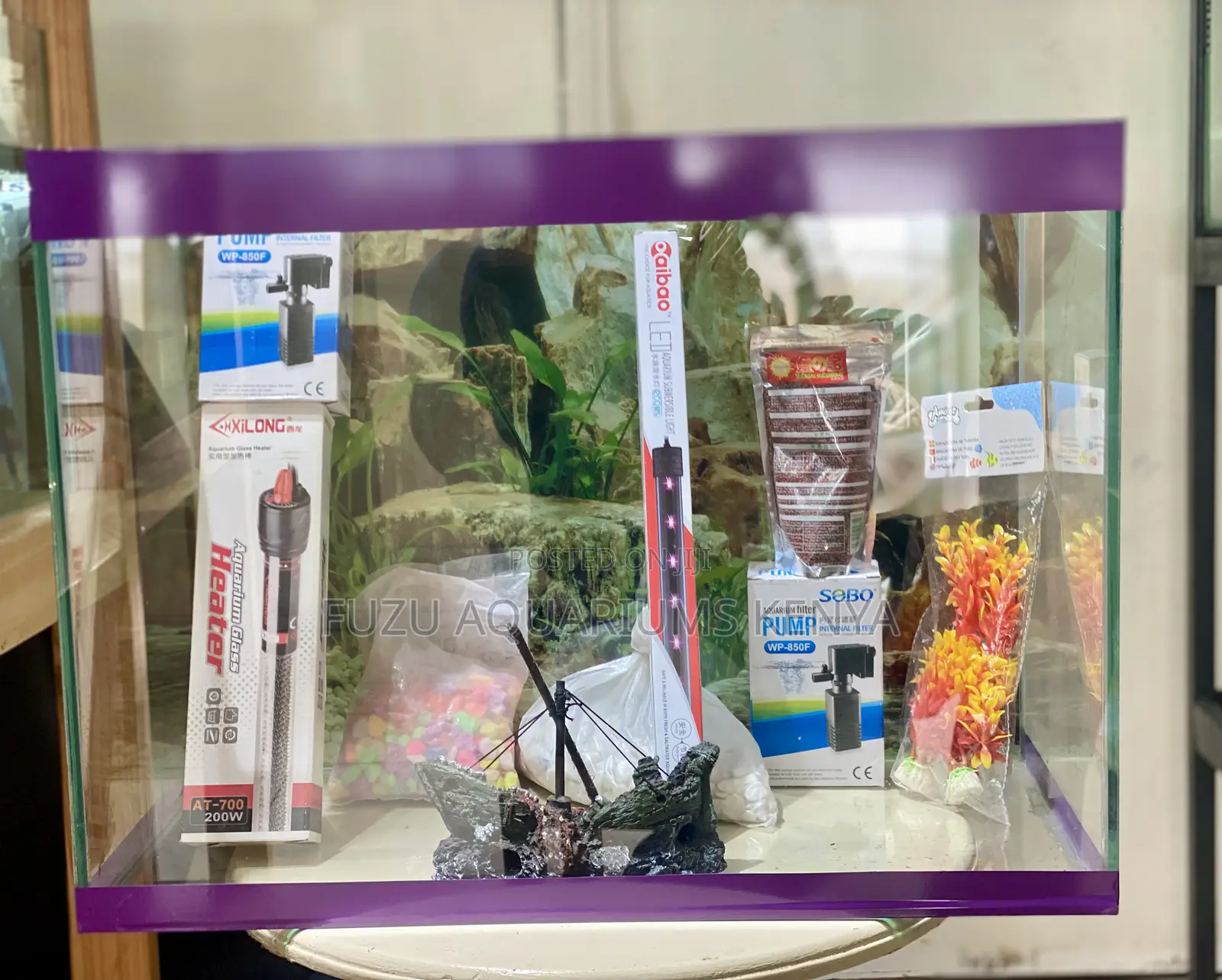 The Perfect Aquarium for Beginners Experts