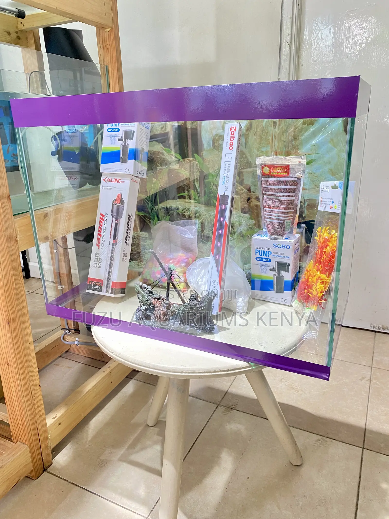 The Perfect Purple Aquarium for Beginners Experts