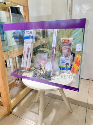 The Perfect Purple Aquarium for Beginners Experts - thumbnail 2