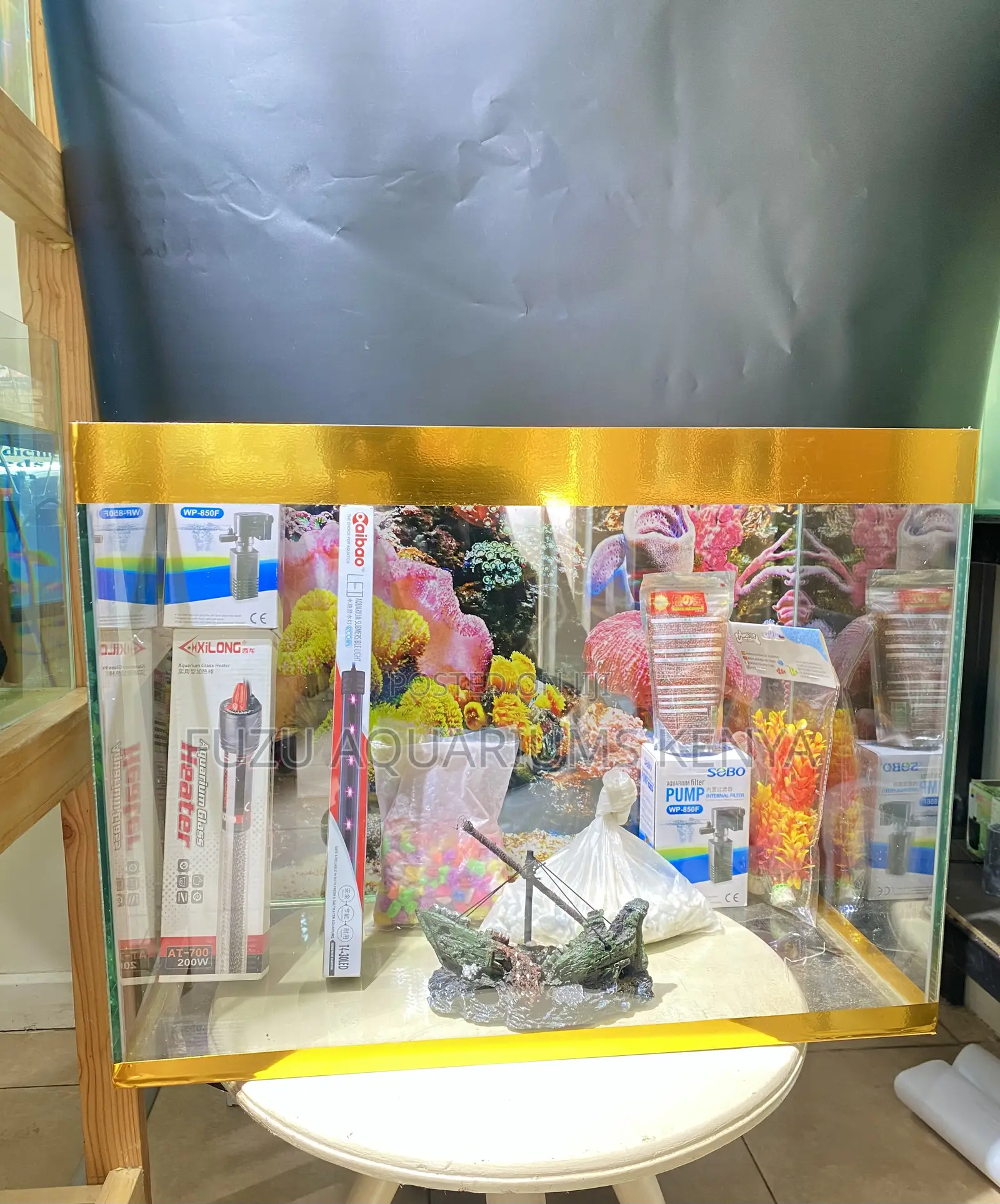 Vibrant Fish Tank – Setup in Minutes, Easy Aquarium