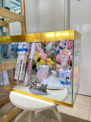 Affordable 2ft Aquarium With Accessories - thumbnail 2