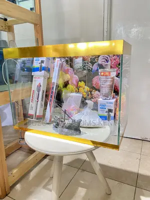 Low Maintenance, High Style Aquarium