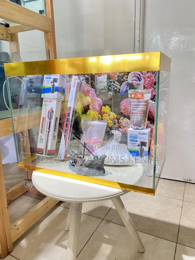 Low Maintenance, High Style Aquarium - main view