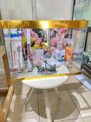 Small Space, Big Aquarium Vibe - thumbnail 2