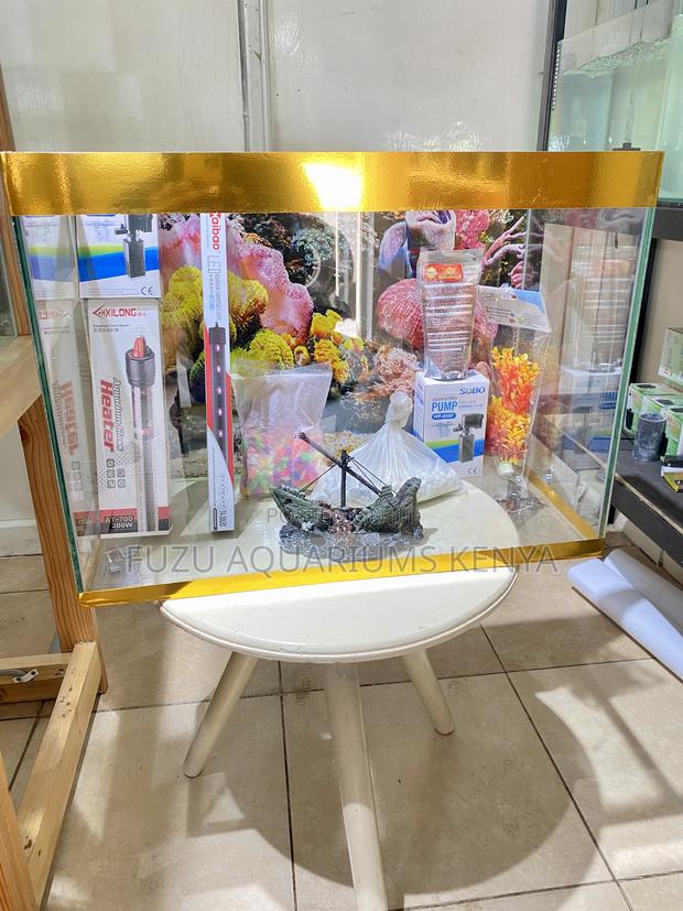 Small Space, Big Aquarium Vibe - main view