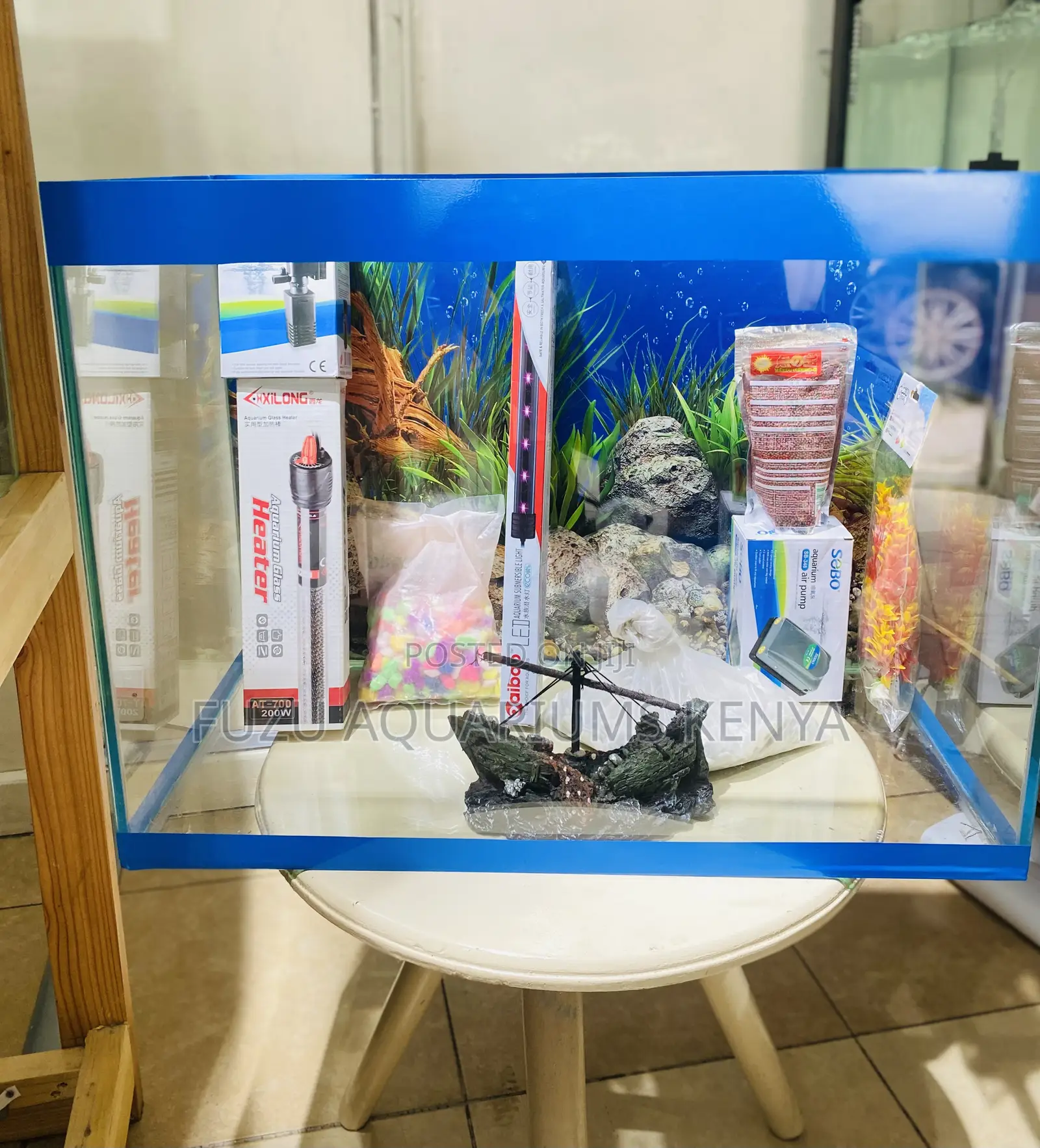 Great for Gifts – Fully Stocked Aquarium