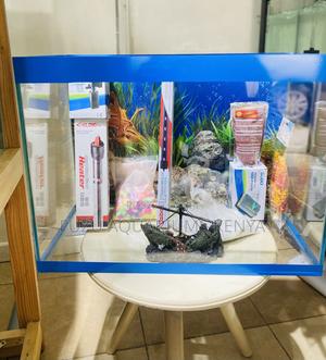 Great for Gifts – Fully Stocked Aquarium - thumbnail 2