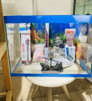 Great for Gifts – Fully Stocked Aquarium