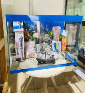 Freshwater Fish Tank – Complete and Convenient