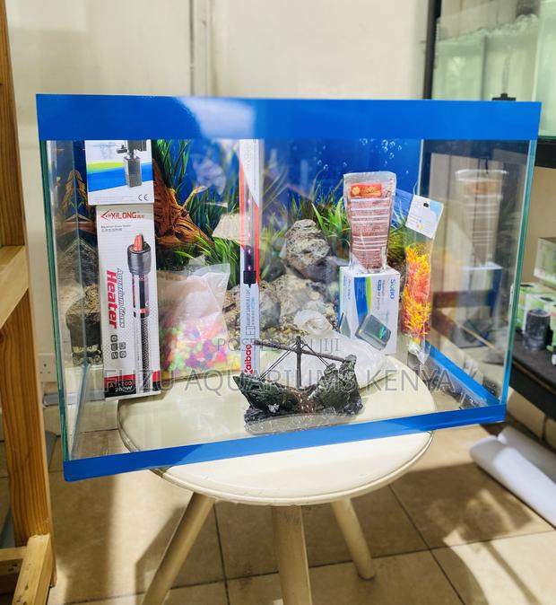 Freshwater Fish Tank – Complete and Convenient - main view