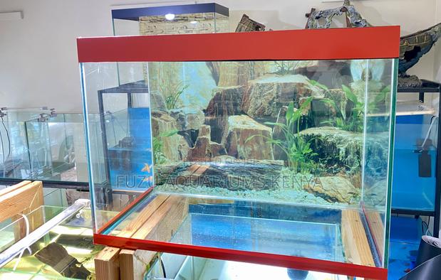 Fully Stocked 2ft Aquarium With Fish - main view