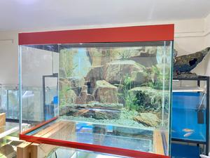 Lively Aquarium Setup – Delivered From Nairobi - thumbnail 2