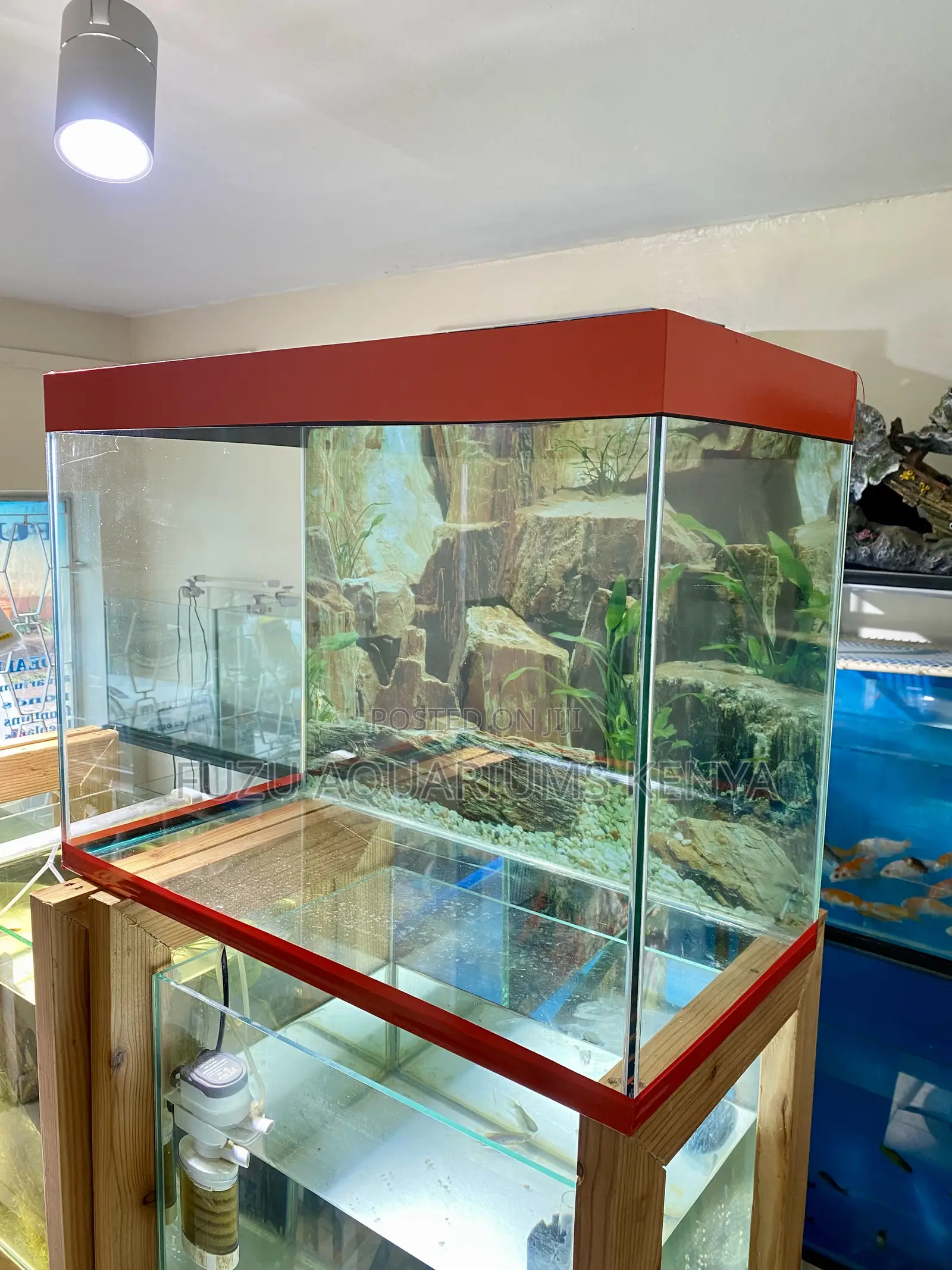 Create Your Own Underwater World Today With Red Aquarium