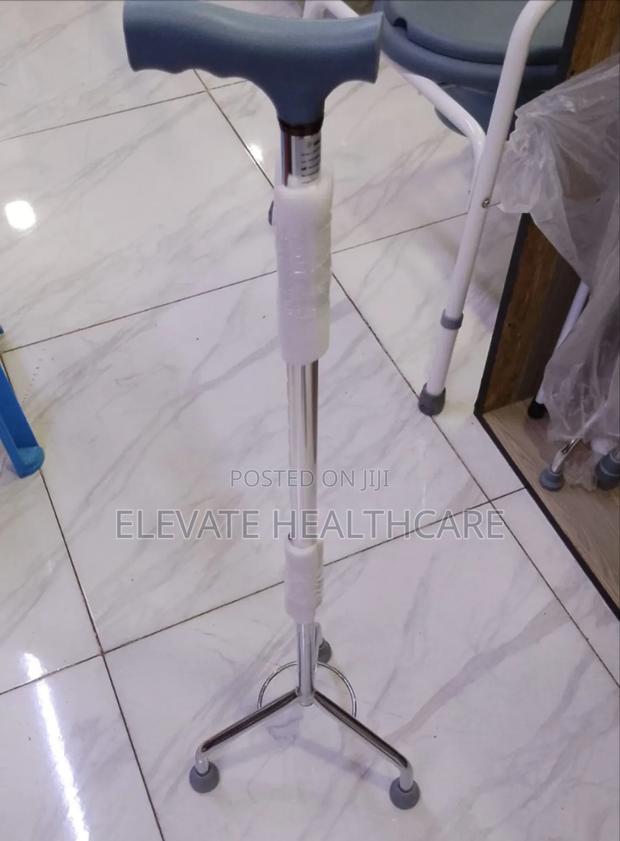 Three Legged Cane - main view