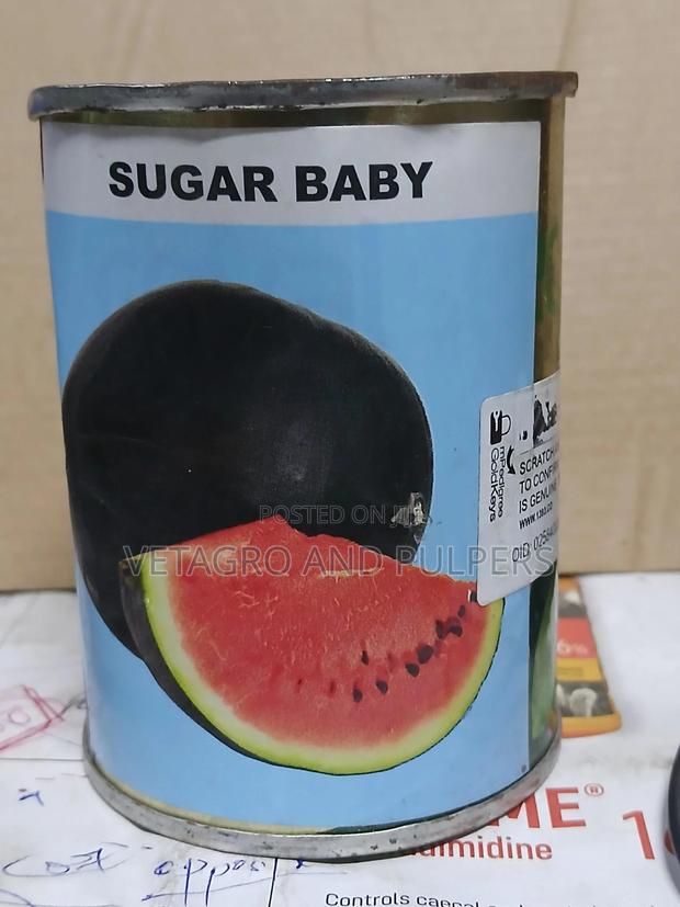 Sugar Baby (Royal Seed) - main view