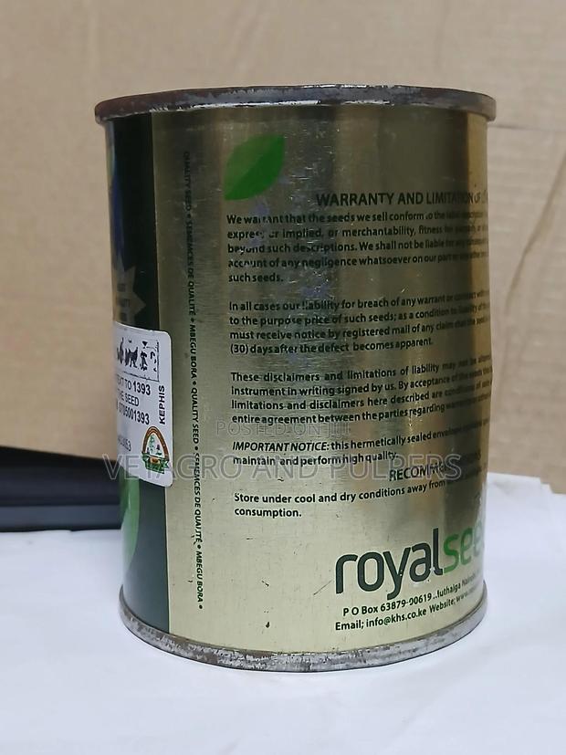 Sugar Baby (Royal Seed) - thumbnail 2