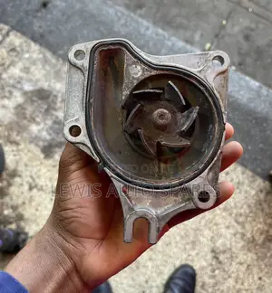 Zj & Zy Water Pump