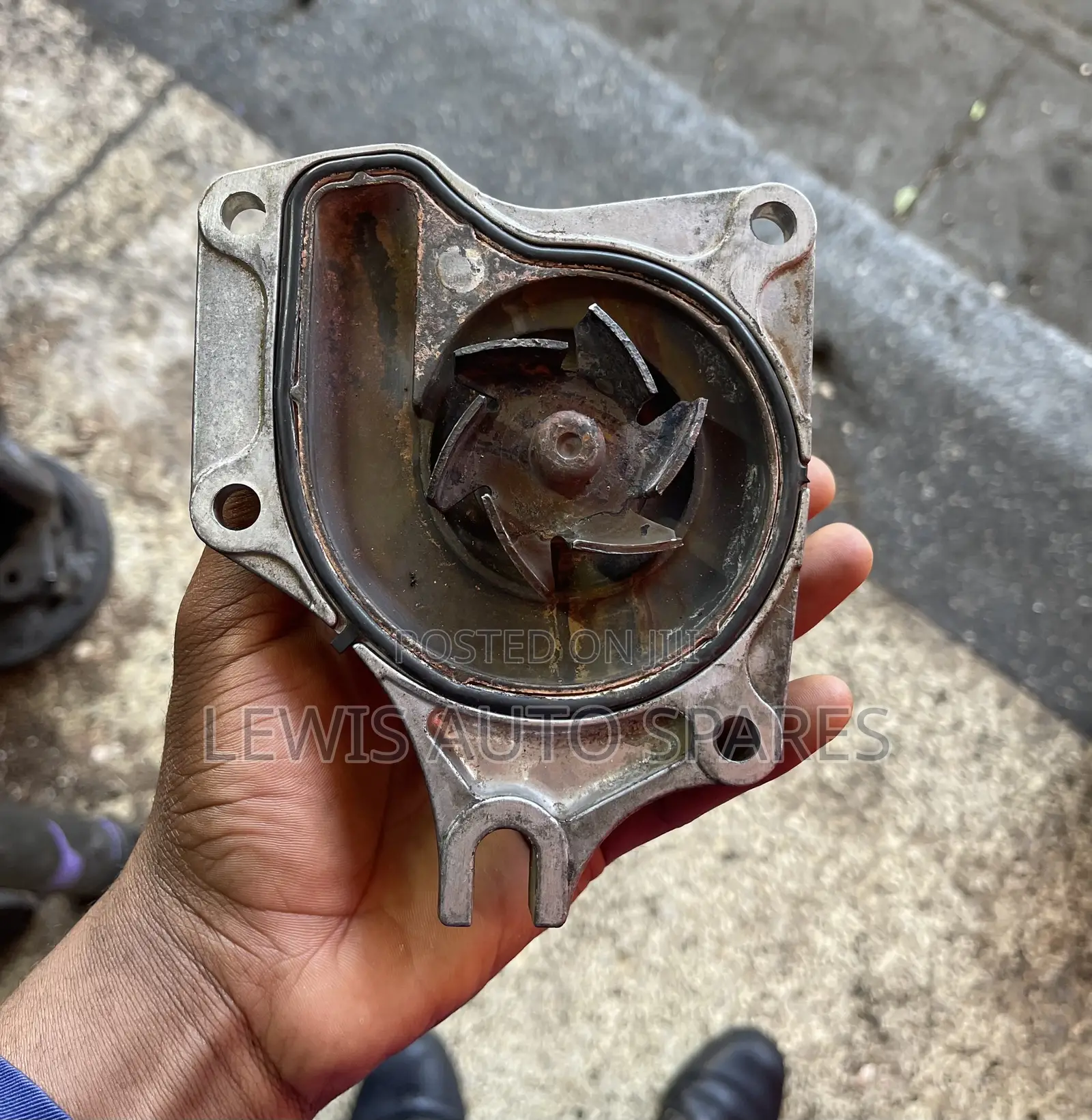 Zj & Zy Water Pump