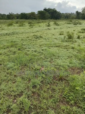 Two (2) Acres Mbiuni Mwala