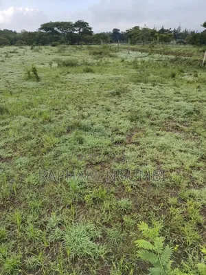 Two (2) Acres Mbiuni Mwala