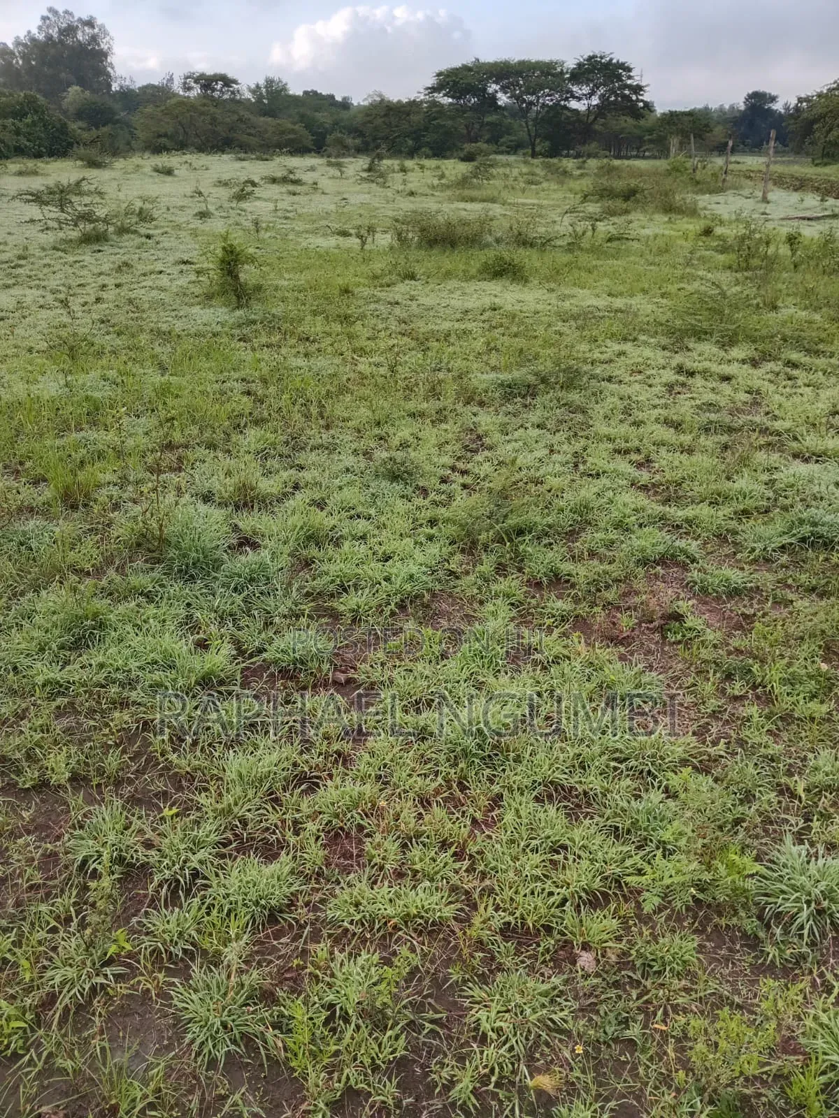 Two (2) Acres Mbiuni Mwala