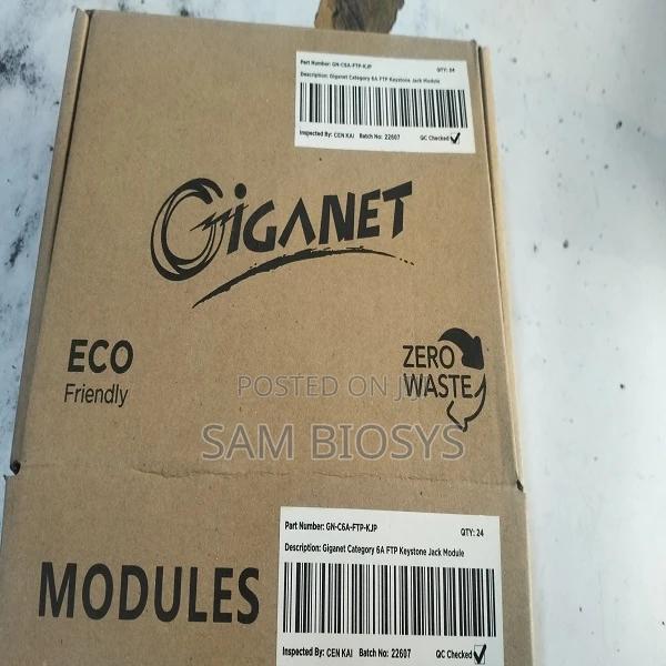 Giganet Keystone 10g - thumbnail 2