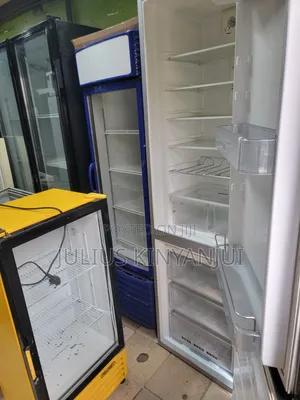 Tall Bottom Freezer Fridge