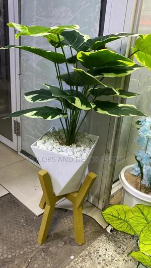 Plant, Gold Stand and Vase - thumbnail 2