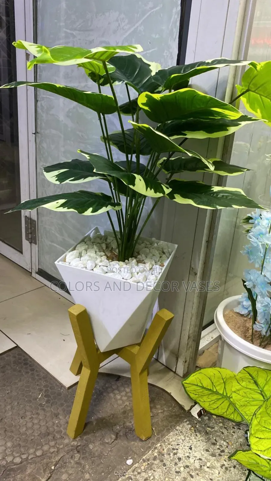 Plant, Gold Stand and Vase