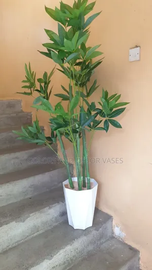 Restaurant Plant With Vase