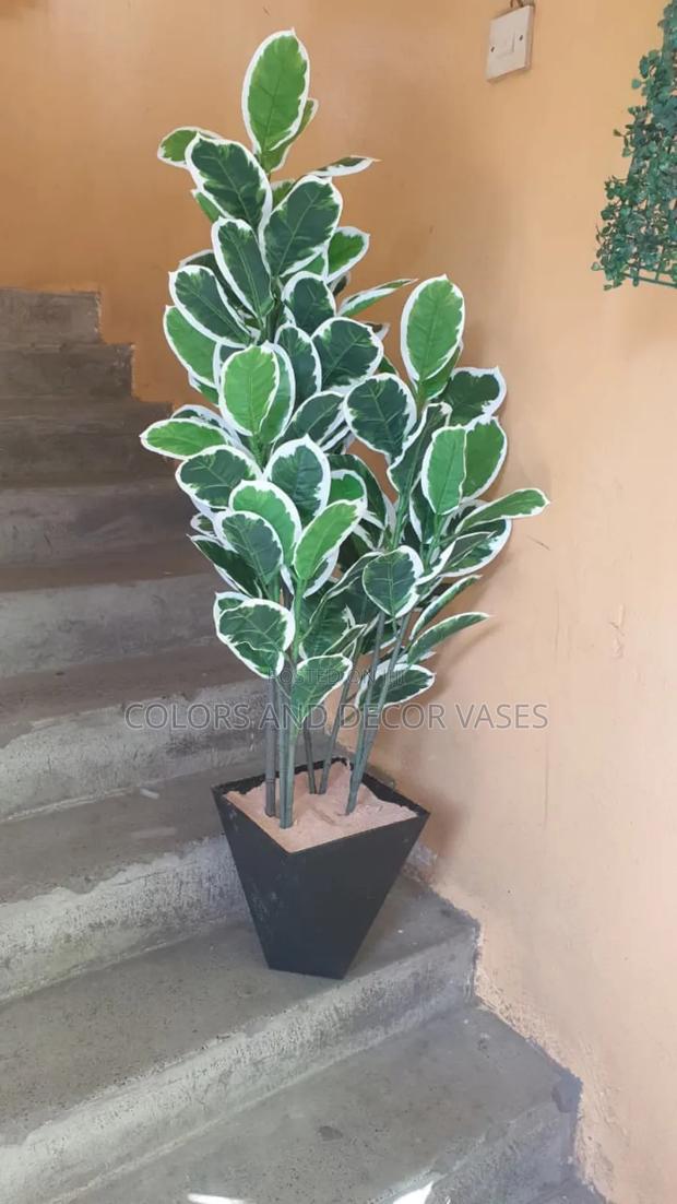 Olive Tree on Vase - main view