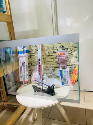 Enjoy Nature Indoors With a 2ft Aquarium