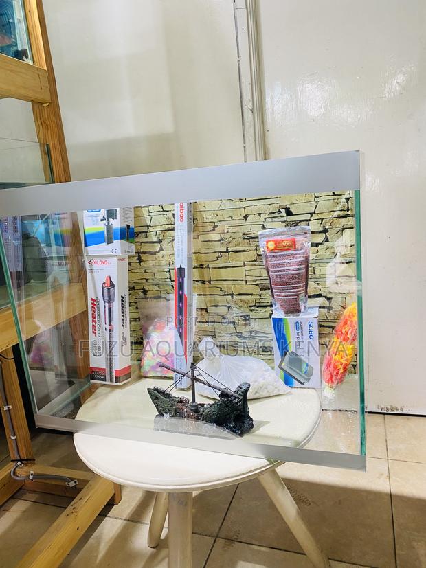 Enjoy Nature Indoors With a 2ft Aquarium