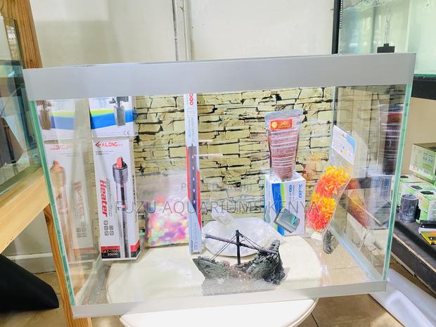 60l Aquarium With Lights, Filter More - main view